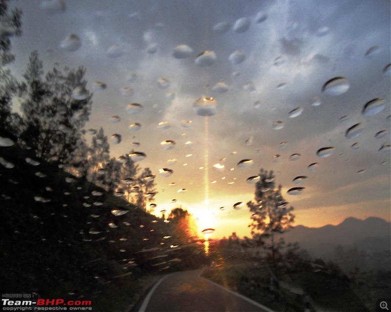 Photologue: Thekkady & Munnar-sdc16307.jpg