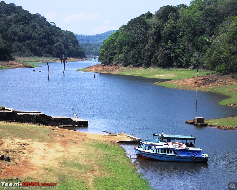 Photologue: Thekkady & Munnar-sdc16175.jpg