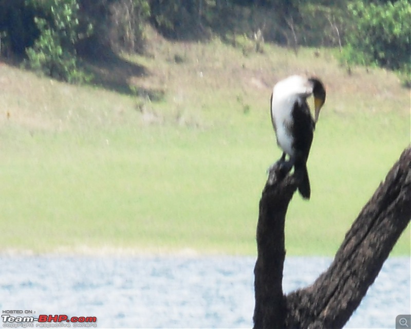 Photologue: Thekkady & Munnar-sdc16189.jpg