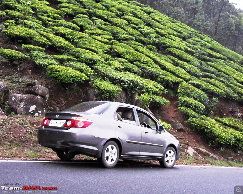 Photologue: Thekkady & Munnar-sdc16299.jpg