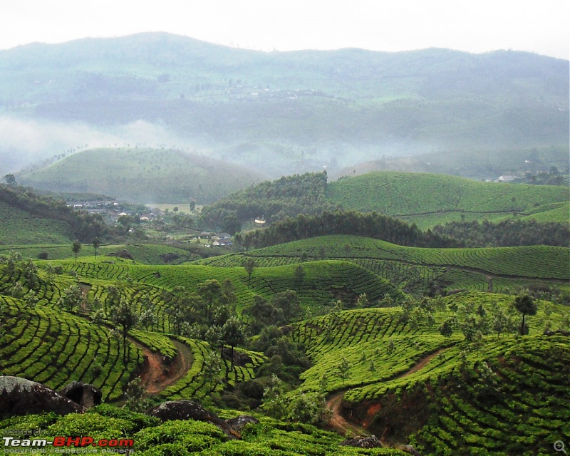 Photologue: Thekkady & Munnar-sdc16301.jpg