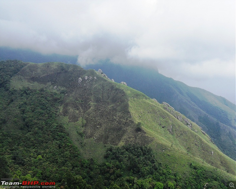 Photologue: Thekkady & Munnar-sdc16363.jpg