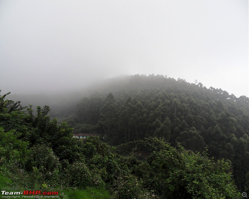 Photologue: Thekkady & Munnar-sdc16409.jpg