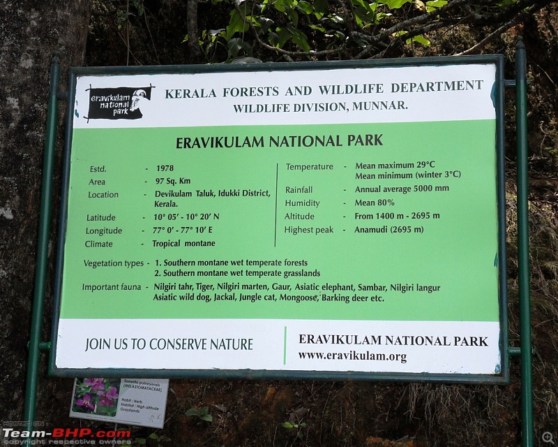 Photologue: Thekkady & Munnar-sdc16495.jpg