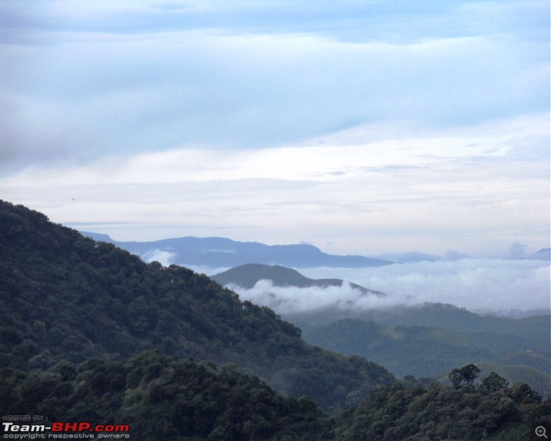 Photologue: Thekkady & Munnar-sdc16621.jpg