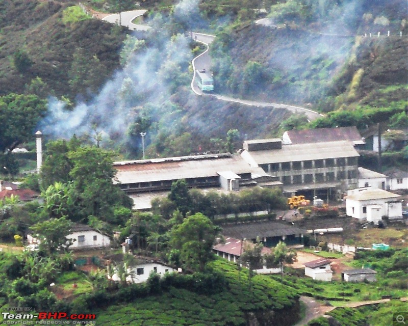 Photologue: Thekkady & Munnar-sdc16623.jpg