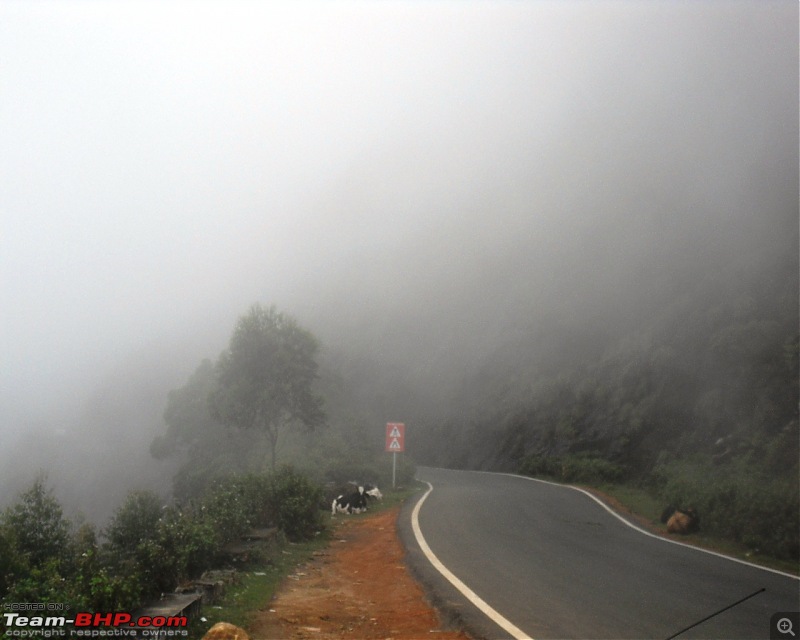 Photologue: Thekkady & Munnar-sdc16675.jpg