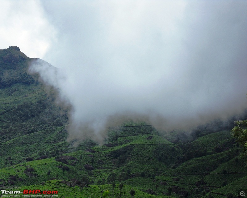 Photologue: Thekkady & Munnar-sdc16680.jpg