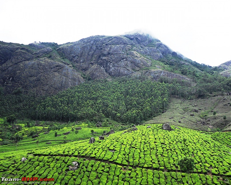 Photologue: Thekkady & Munnar-sdc16682.jpg