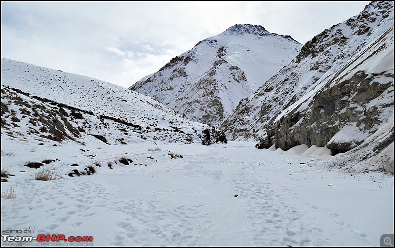 Where eagles dare: A winter sojourn to Ladakh!-dscn4002.jpg