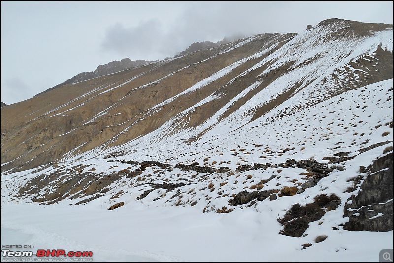 Where eagles dare: A winter sojourn to Ladakh!-dscn4003.jpg
