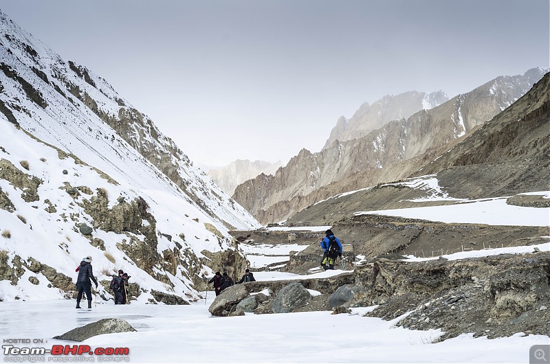 Where eagles dare: A winter sojourn to Ladakh!-dsc_2566.jpg