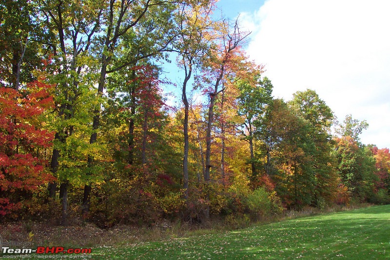 A beautiful Spring day in New Jersey-309169285_yup85l1.jpg