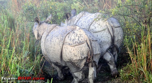 Bangalore to Bhutan, Assam, Arunachal Pradesh, Nagaland and Meghalaya-14.jpg