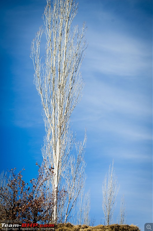 The Air I Breathe - Leh-_dsc4956.jpg