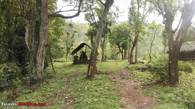 A Tryst to the Elephant Corridor: Palni hills, Tamil Nadu-imag0558.jpg