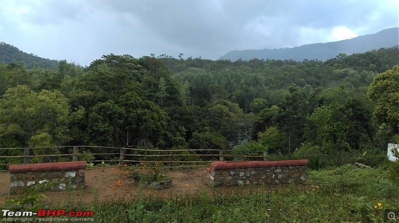 A Tryst to the Elephant Corridor: Palni hills, Tamil Nadu-imag0639.jpg