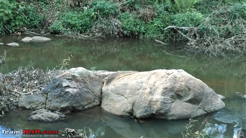 A Tryst to the Elephant Corridor: Palni hills, Tamil Nadu-imag0629.jpg