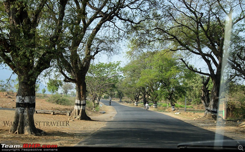 Wanderlust Traveller: Half-day drive to Yelagiri from Bangalore-suh_0361.jpg