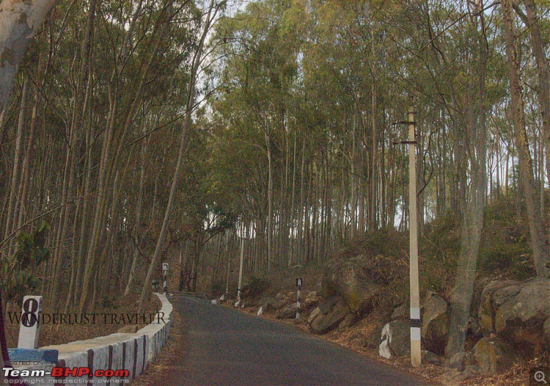 Wanderlust Traveller: Half-day drive to Yelagiri from Bangalore-suh_0401.jpg