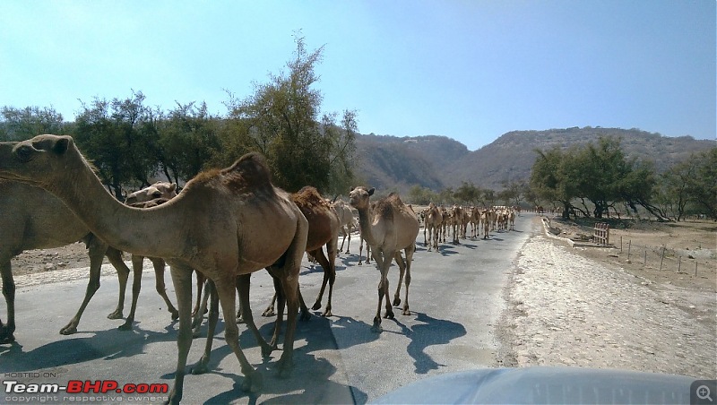 Ford Explorer: Dubai (UAE) to Salalah (Oman) Road trip-imag4162.jpg