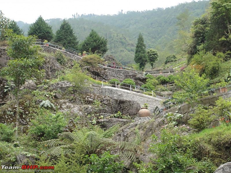 Weekend drive to Kurseong and Darjeeling in a Mahindra Thar-dsc01899.jpg