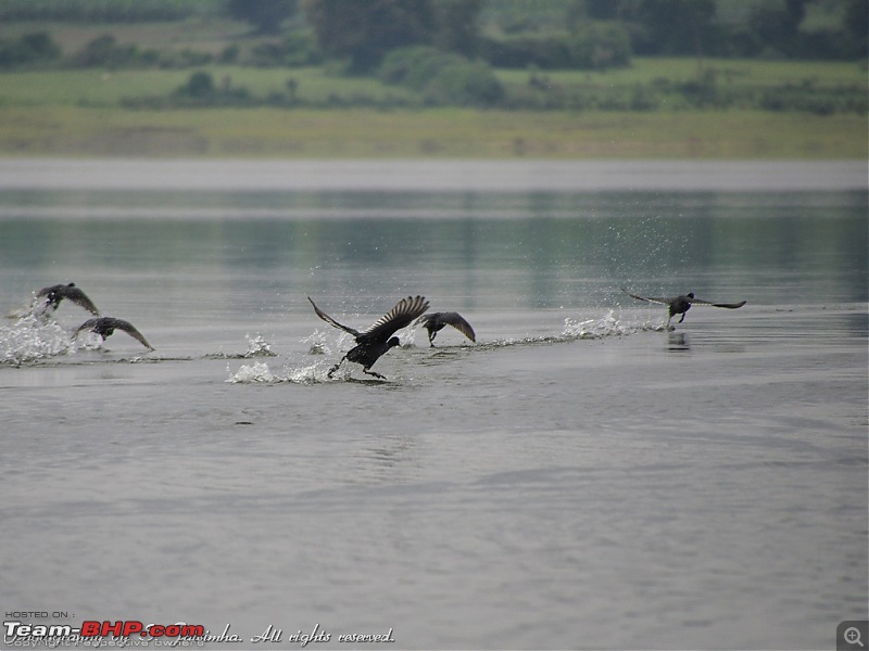 A long weekend at Kabini-kbn05.jpg