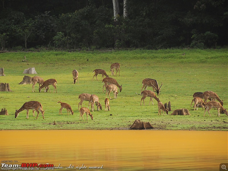 A long weekend at Kabini-kbn36.jpg