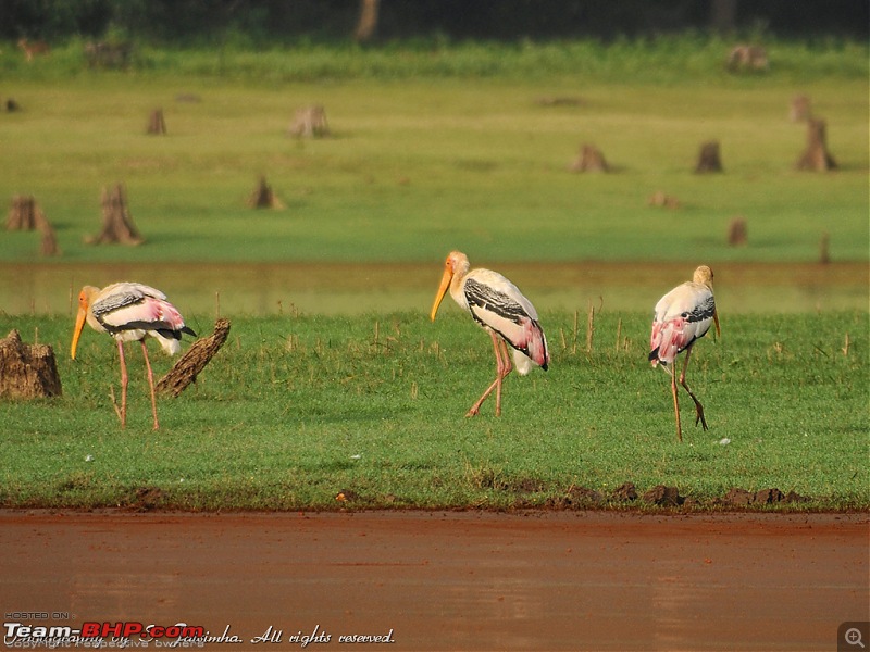 A long weekend at Kabini-kbn34.jpg