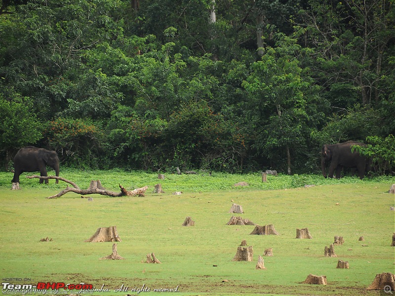 A long weekend at Kabini-kbn63.jpg