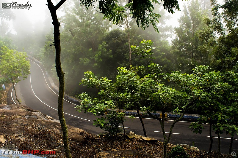 Mist, rain, nature and twisties - Ride to Yercaud!-dsc_7472.jpg
