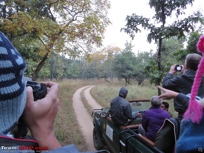 Photologue: Pench & Kanha National Park-7.jpg