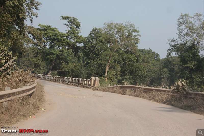 Photologue: Pench & Kanha National Park-2.jpg