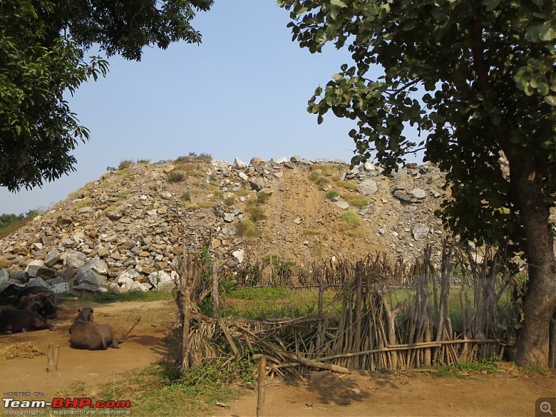 Photologue: Pench & Kanha National Park-5b.jpg