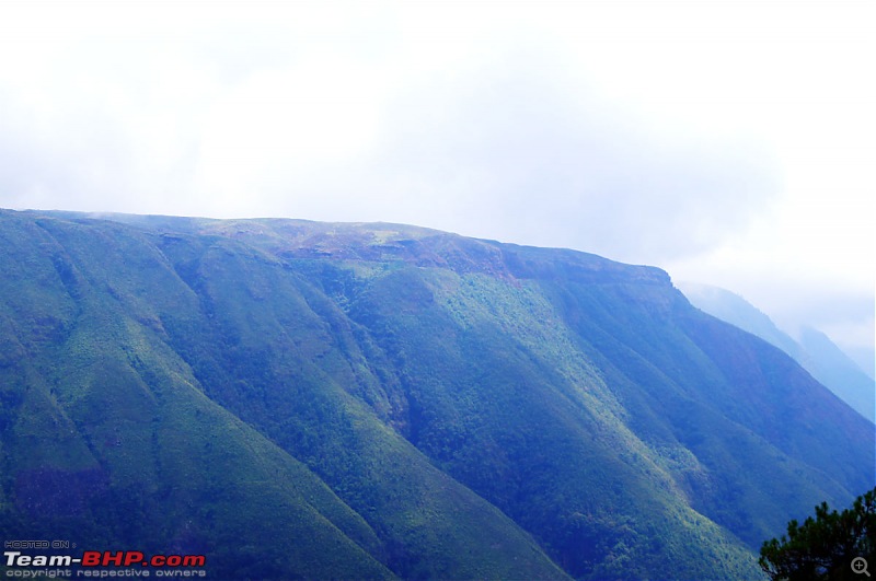 Chasing the rains, driving in the clouds - A dash to Cherrapunjee-dsc03147.jpg