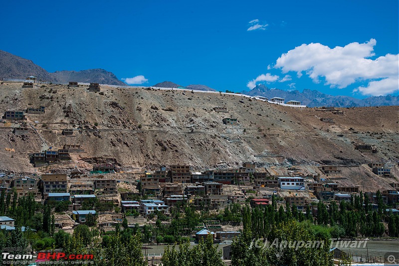 Ladakh through my eyes-dsc_0718.jpg