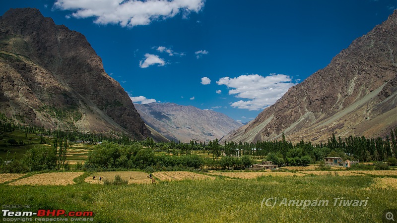 Ladakh through my eyes-dsc_0775.jpg