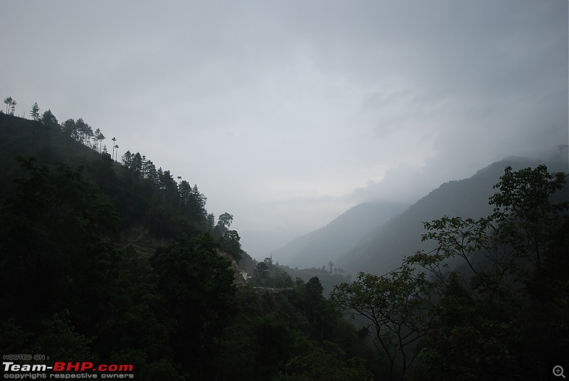 Call of the wild : Western Arunachal in a Mahindra Thar-dsc_3359.jpg