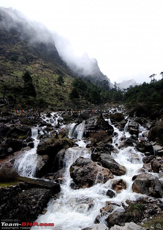 Call of the wild : Western Arunachal in a Mahindra Thar-dsc_3412.jpg