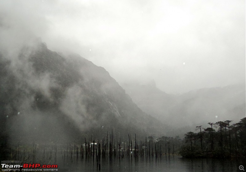 Call of the wild : Western Arunachal in a Mahindra Thar-dsc05045.jpg