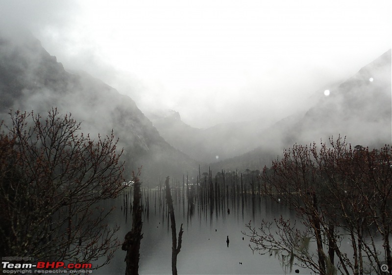 Call of the wild : Western Arunachal in a Mahindra Thar-dsc05047.jpg