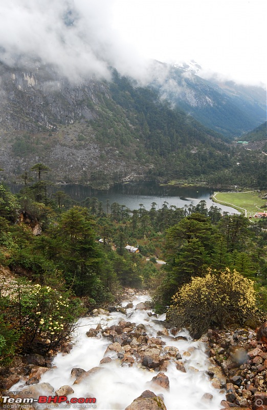 Call of the wild : Western Arunachal in a Mahindra Thar-dsc_3581.jpg