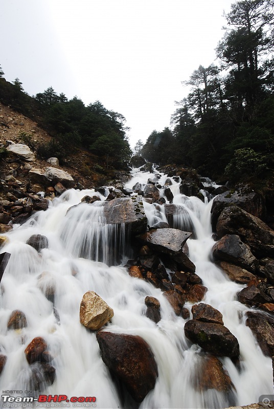 Call of the wild : Western Arunachal in a Mahindra Thar-dsc_3578.jpg