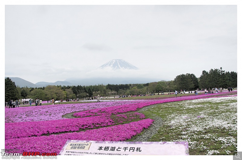 Land of The Rising Sun : Exploring Tokyo...in and around-_dsc0710.jpg