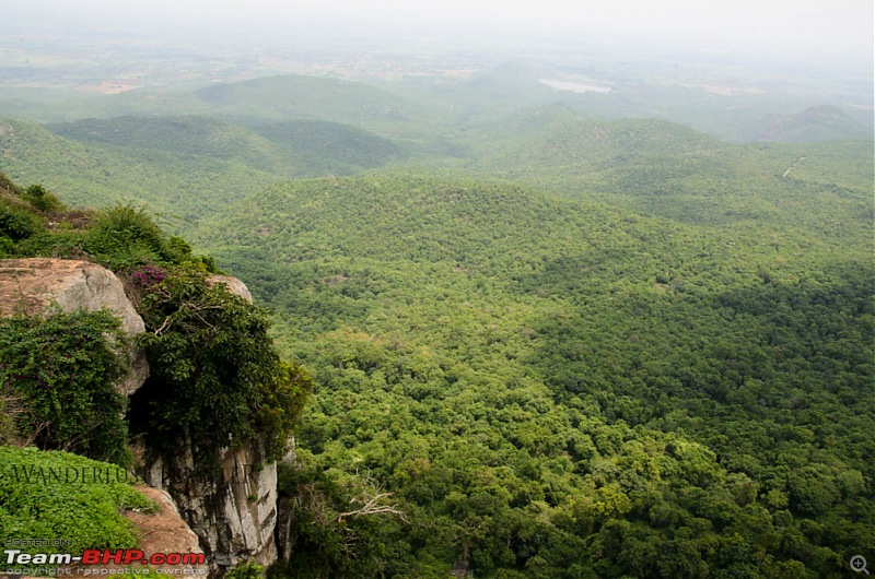 Wanderlust Traveller: Into the wild - Biligiriranga Hills and K Gudi-suh_1618.jpg