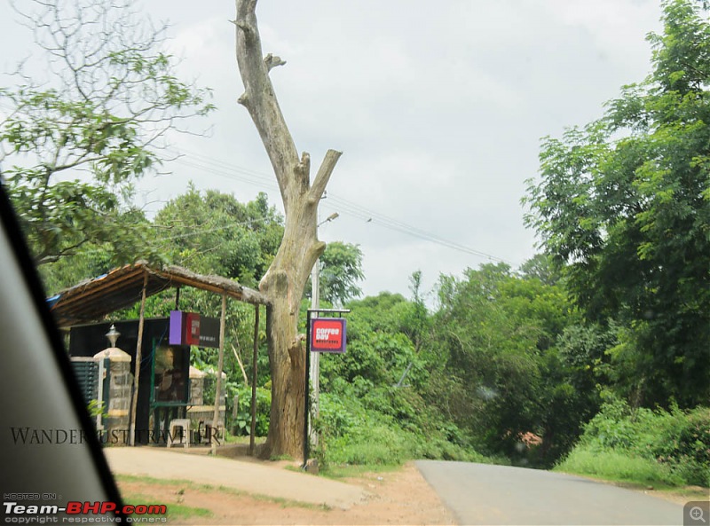 Wanderlust Traveller: Into the wild - Biligiriranga Hills and K Gudi-suh_1640.jpg