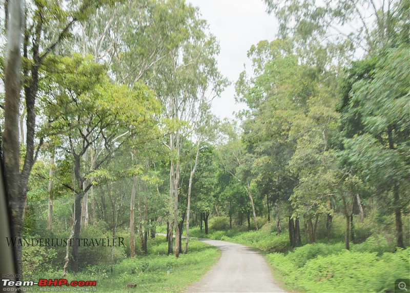 Wanderlust Traveller: Into the wild - Biligiriranga Hills and K Gudi-suh_1652.jpg