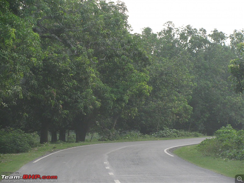 Dooars - A blissful drive to the lap of nature-img_4341.jpg
