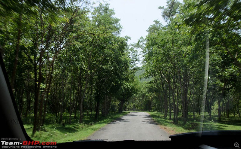 Wanderlust Traveller: Into the wild - Biligiriranga Hills and K Gudi-suh_2134.jpg