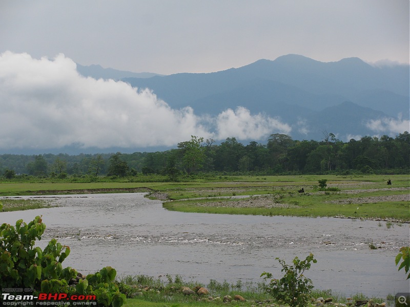 Dooars - A blissful drive to the lap of nature-img_4706.jpg